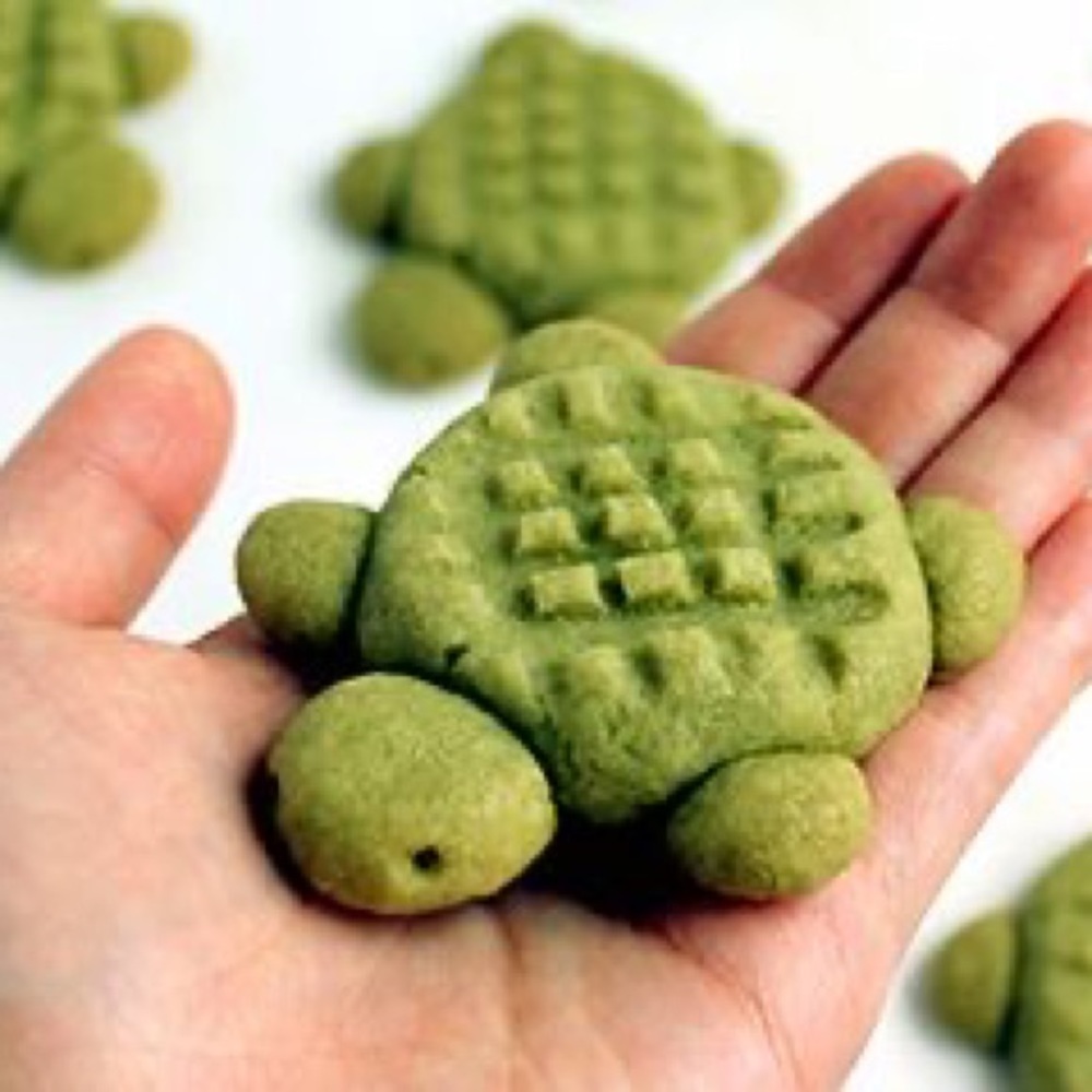 Meet your Posher, Izzy